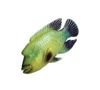 Gatuida Figurine Poisson Simulé Colorée Plastique Modèle Réaliste de Poisson Napoléon pour Garçon Fille Éducatif et Résistant Décoration Océanique Artificielle