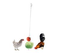 Gatuida Fourchette à Fruits Acier Inoxydable pour Perroquets et Petits Oiseaux Suspendu Amusant pour Cage Accessoire de Jeu et Alimentation Sécurisée