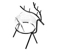 Gatuida Hydroponic Glass Vase Fer avec Support Créatif pour Plantes Intérieur Vase Transparent Compte-Rendu pour Décoration De Bureau Et Salon