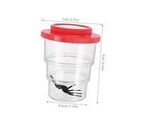 Gatuida Kit Dobservation Dinsectes avec Loupe Rouge pour Garçon Fille Boîte Attrape Insectes Éducative Exploration Nature et Science Plein Air Outil Dapprentissage et pour Garçon et Fille