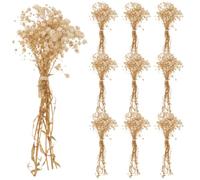 Gatuida Lot de 10 Bouquets de Gypsophile Séché Naturel 12 CM Couleur Ivoire pour Décoration de Table Mariage Fêtes Centres de Table Fleurs Séchées Décoratives