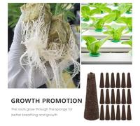 Gatuida Lot de 50 Éponges Hydroponiques sans Terre pour Plantation en Intérieur Et Serrage, Format Cône, Haute Absorption d'eau, Adaptées à La Germination Et Culture Hors Sol