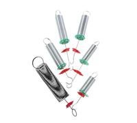 Gatuida Lot de 6 Ressorts expérimentaux pour l'école : Assortiment d'éléments spiralés pour l'enseignement en Classe (0,5N, 1N, 2N, 3N, 10N), adaptés aux projets pédagogiques en