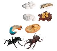 Gatuida Lot de 8 Modèles Réalistes de Fourmis Ouvrières en Plastique Léger, Cycle de Vie Simulé, Jeu Éducatif pour Garçon et Filles, Kit Scientifique D’Apprentissage et Décoration