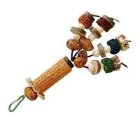 Gatuida Mâcher pour Oiseaux Accessoire pour Perroquets et Perruches Interactif de Pomme et Carambole pour Détente et Divertissement des Oiseaux