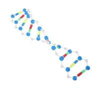 Gatuida Modèle Adn Double Hélice Kit Éducatif pour Enseignement Biologie Chimie et Ingénierie Aide Pédagogique Structure Génétique pour Étudiants