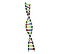 Gatuida Modèle d'Adn à Double Kit Éducatif Scientifique 3D Jouet pour Garçon et Filles pour l'enseignement des Sciences Écoles 1 Ensemble