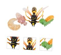 Gatuida Modèle Éducatif Cycle de Vie de Guêpe pour Garçon Fille Pédagogique de Cognition Nature Insecte