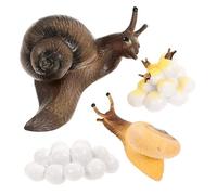 Gatuida Modèles Escargots Simulés PVC Jeu Éducatif Cycle de Vie pour Garçon Fille Apprentissage