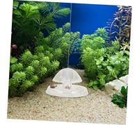Gatuida Piège à Escargots Transparent Petit pour Aquarium Plastique de Qualité Facile à Nettoyer Pollution Attrape Limaces Nuisibles pour Poissons et Plantes Outil Pratique pour Réservoir