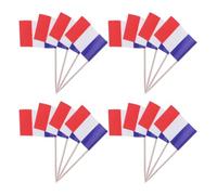 Gatuida Piques Décoratives pour Aliments Drapeau Français 200 Pièces Mini Pics à Cocktail en Plastique Décorations Légères pour Gâteaux de Fête et Fruits Usage Intérieur et Extérieur