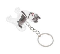Gatuida Porte Clés Collecteur de Poils de Chien et Chat Boîte Mémoriale Transparente Capsule Accessoire Souvenir pour Garder Poils Animaux Sécurité