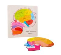 Gatuida Puzzle Éducatif Bois Modèle Apprentissage des Structures Cérébrales Jeu de Construction pour Garçon Fille Développement et Mémoire Cadeau Garçon Fille