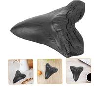 Gatuida Réplique de Dent de Mégalodon Décorative Légère pour Enseignement et Collection Ornement Original pour Maison et Bureau