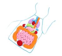 Gatuida Tablier Éducatif Organes Internes pour Garçon Fille Jeu Pédagogique Doux Aide Cognitive pour Apprentissage de Anatomie Cadeau Garçon Fille Ans