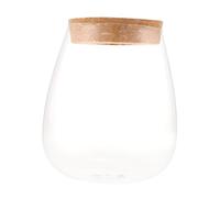 Gatuida Terrariums Verre Transparent pour Plantes Bouteille Hydroponique de Micropaysage Conteneur de Décoration Intérieure