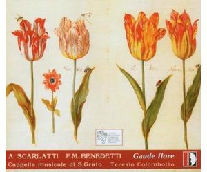 Gaude Flore