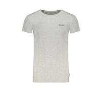 Gaudi, Homme, Tops, Gris, Taille: XL T-shirt en Coton Gris avec Logo Imprimé