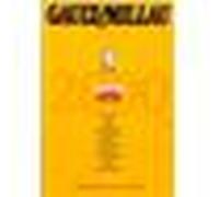 Gault Millau France 2000 avec supplément Europe 2000 - Collectif - Gault&millau - broché - Guide