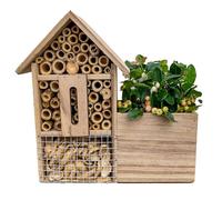 Gaulthérie à grosses baies dans un hôtel à insectes - Idées cadeaux originales pour les jardiniers