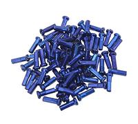 Gavigain 80Pcs Vis de Roue de Vélo,Iron 14mm Mountain Road Cycling Spoke Nipples for 14G Spoke Wire (Blue)