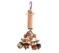 Gavigain Parrot Chew Toy, Corn COB, Os de seiche, Boule de rotin, Jouet d'oiseau Comestible pour Les calocyles, Les perruches et Les perroquets, Boredom Relief (Carambola Mod)