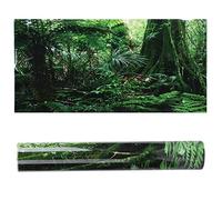 Gavigain Self Adhesive Aquarium Fall 61x30cm Rainforest Design, HD Visual Appeal, Non, Water, for Fish Containers and Reptile Boîtes (122 * 46cm)