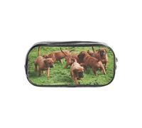 gawuoab Astuccio trasparente per Penne, astuccio trasparente per Penne, Organizer trasparente, per cani, cuccioli e animali domestici Della Famiglia Rhodesian Ridgebacks