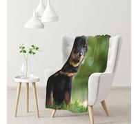 gawuoab Couverture Douce et Confortable en Flanelle avec Un Adorable Chiot Berger Français Beauceron Noir pour canapé