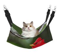 GaxfjRu Beaux oiseaux rouges réglable hamac perchoir pour fenêtre en velours confortable pour chatons