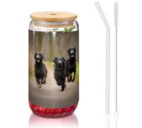 GaxfjRu Black Dog Tasses en verre avec couvercles et paille en verre, tasses en verre plus larges pour smoothies, thé, cola, soda