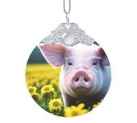 GaxfjRu Décoration de Noël en forme de cochon de viol pour sapin de Noël, taille unique