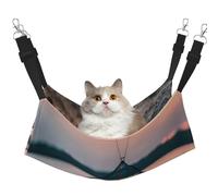 GaxfjRu Filet de pêche en forme d'étoile de mer réglable pour chat, hamac perchoir pour fenêtre, confortable en velours pour animal domestique et salon pour chatons