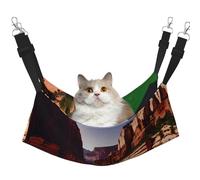 GaxfjRu Grand Canyon Hamac réglable pour chat Perchoir pour fenêtre, confortable en velours pour animal domestique