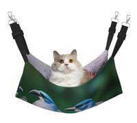GaxfjRu Hamac réglable pour chat avec deux oiseaux - Perchoir pour fenêtre - En velours confortable - Pour chatons