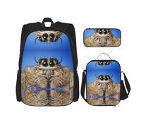 GaxfjRu Lot de 3 sacs à dos d'école avec sac à déjeuner et trousse à crayons - Grande capacité de 43,2 cm - Imprimé araignée sauvage