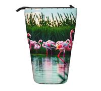 GaxfjRu Trousse télescopique portable colorée et fabuleuse avec imprimé flamants roses, organiseur avec plusieurs emplacements, pour outils d'écriture, accessoires
