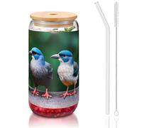 GaxfjRu Two Birds Tasses en verre avec couvercles et paille en verre, tasses en verre plus larges pour smoothies, thé, cola, soda