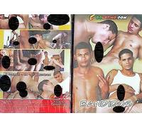 GAY Bandidos THE FRENCH CONNECTION