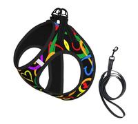 Gay Pride Ensemble harnais et laisse pour chats et chiens, réfléchissant, réglable, en maille douce et respirante avec laisse anti-fuite, pour petits animaux de compagnie et chatons chiots