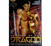GAY Revenge of the dragon part 1 DIAMOND PICTURES MOVIE dp33