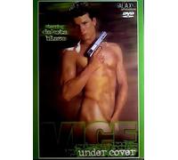 GAY Vice under cover GALAXY