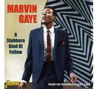 Marvin Gaye – A Stubborn Kind of Fellow