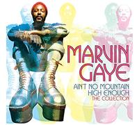 Ain't no mountain high enough CD