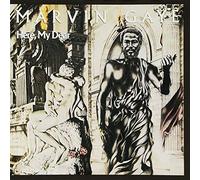 Marvin Gaye – Here, My Dear – CD – Island