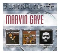 Gaye, Marvin - I Haerd It Through The Grapevine / I Want You / Vulnerable Sessions (coffret 3 CD)