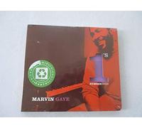 Gaye, Marvin - Number 1's
