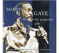 Gaye,Marvin - Through the Grapevine