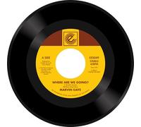 Gaye,Marvin - Where Are We Going? / Woman of the World