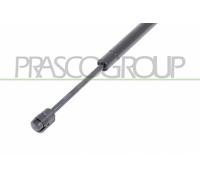 PRASCO BM8029005 Vérin de capot